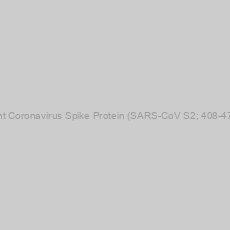 Image of Recombinant Coronavirus Spike Protein (SARS-CoV S2; 408-470, 540-573)